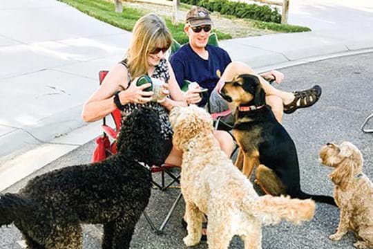 A woman and a man sit in a driveway surrounded by four dogs.